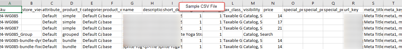 CSV File Sample of Produt Imports