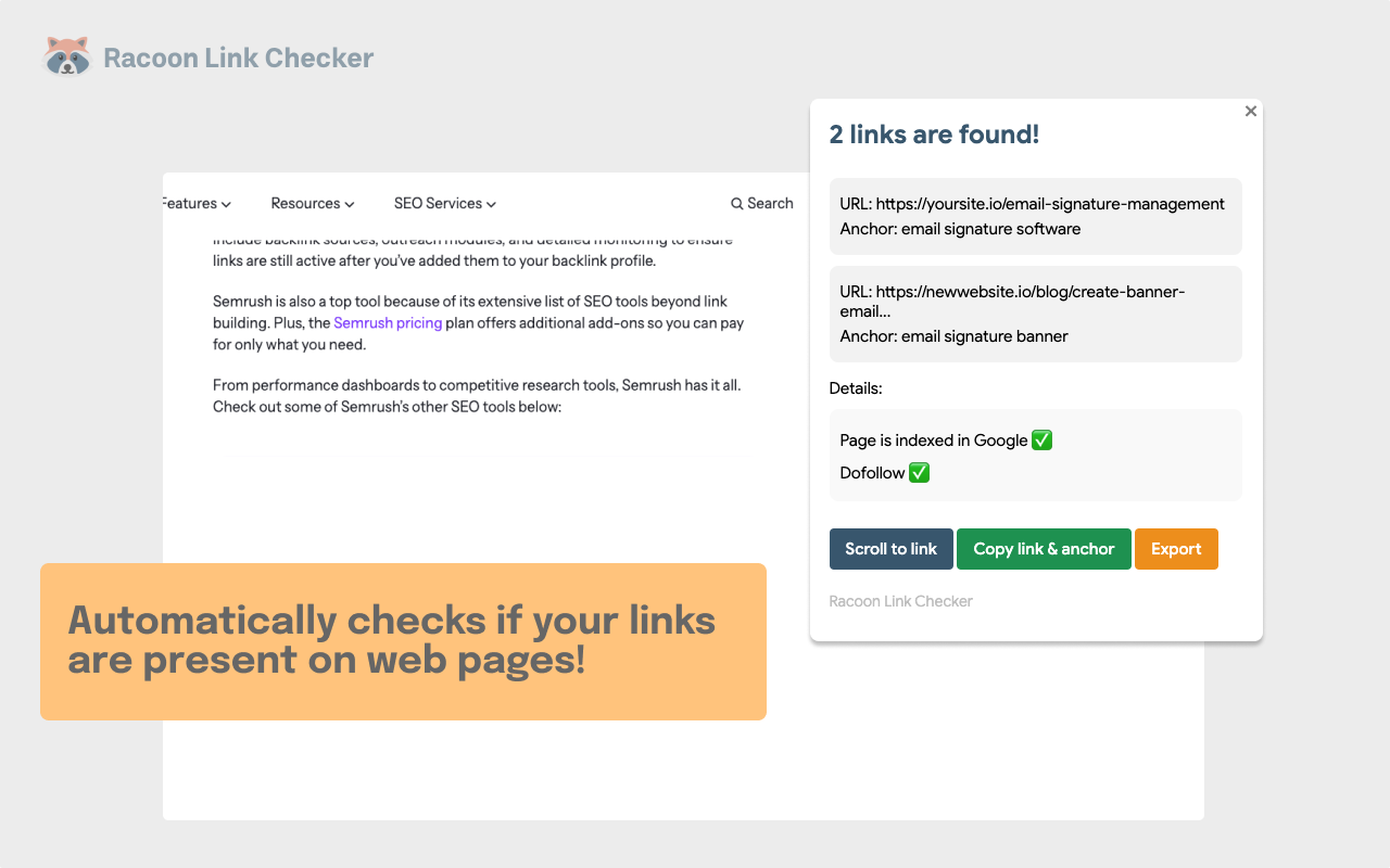 Racoon SEO Link Checker