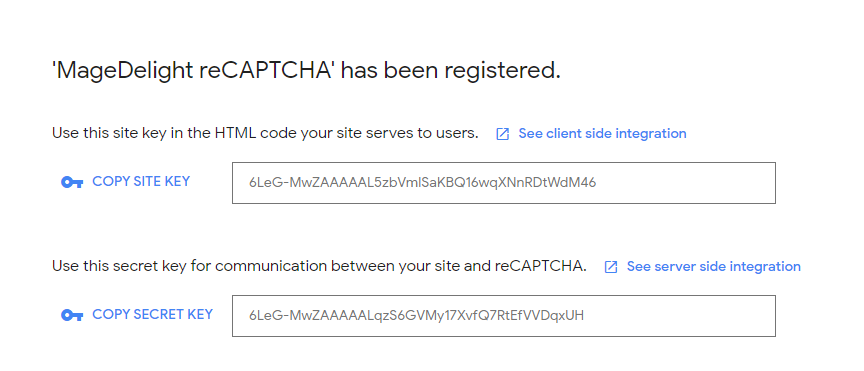 Google Captcha Registration