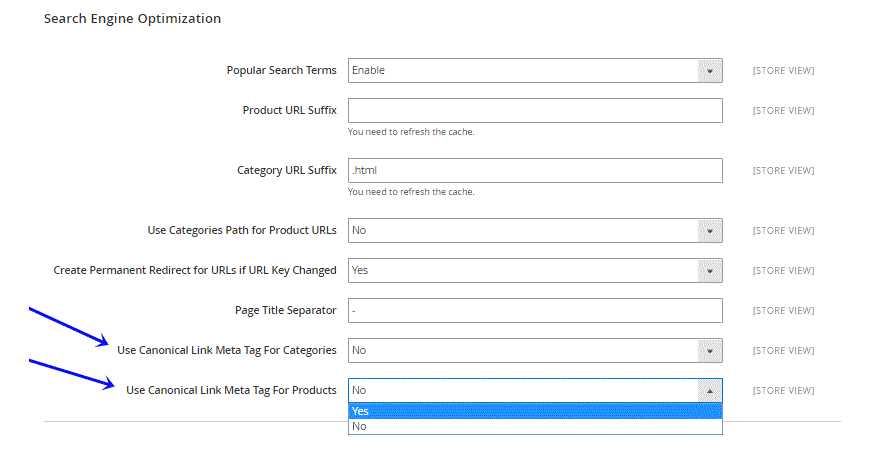 Magento Canonical Tags Setting