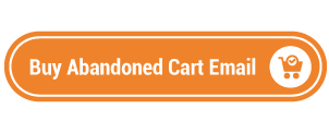 Abandoned Cart Email