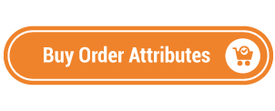 Magento 2 Order Attribute